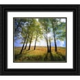 thumbnail image 1 of Talbot Frank, Christopher 30x26 Black Ornate Wood Framed with Double Matting Museum Art Print Titled - Wyoming, Grand Tetons Autumn in the forest, 1 of 4