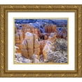 thumbnail image 1 of Talbot Frank, Christopher 30x26 Gold Ornate Wood Framed with Double Matting Museum Art Print Titled - Utah, Bryce Canyon NP in Winter, 1 of 4