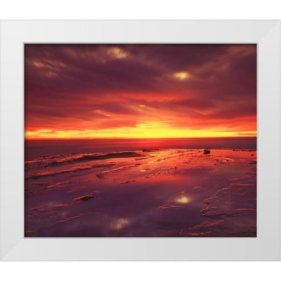Talbot Frank, Christopher 30x26 White Modern Wood Framed Museum Art Print Titled - CA, San Diego, Sunset Cliffs tide pools at Sunset
