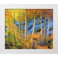 thumbnail image 1 of Talbot Frank, Christopher 30x26 White Modern Wood Framed Museum Art Print Titled - California, Sierra Nevada, Fall colors of Aspens, 1 of 4