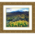 thumbnail image 1 of Talbot Frank, Christopher 31x26 Gold Ornate Wood Framed with Double Matting Museum Art Print Titled - California, Sierra Nevada Flowers in the Sierras, 1 of 4