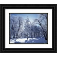 thumbnail image 1 of Talbot Frank, Christopher 32x26 Black Ornate Wood Framed with Double Matting Museum Art Print Titled - California, Cleveland NF, Laguna Mts Snowy trees, 1 of 4
