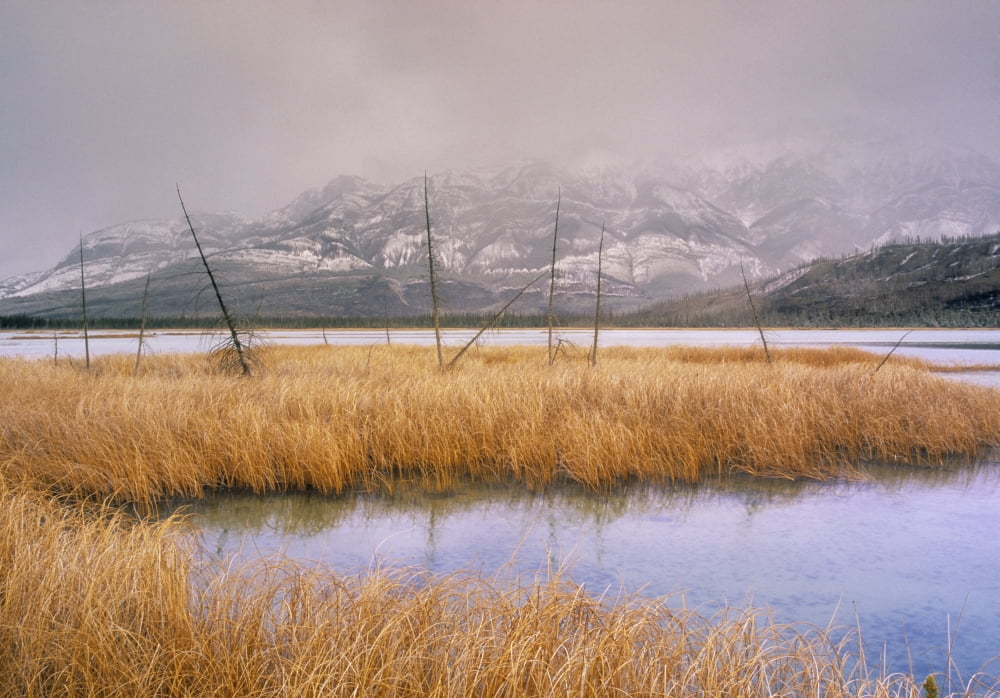 Talbot Lake And The Miette Range Jasper National Park Alberta Canada Canvas Art - Darwin Wiggett Design Pics (16 x 11)