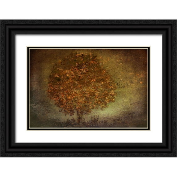 Talen, Nel 14x11 Black Ornate Wood Framed with Double Matting Museum Art Print Titled - Autumn Tree