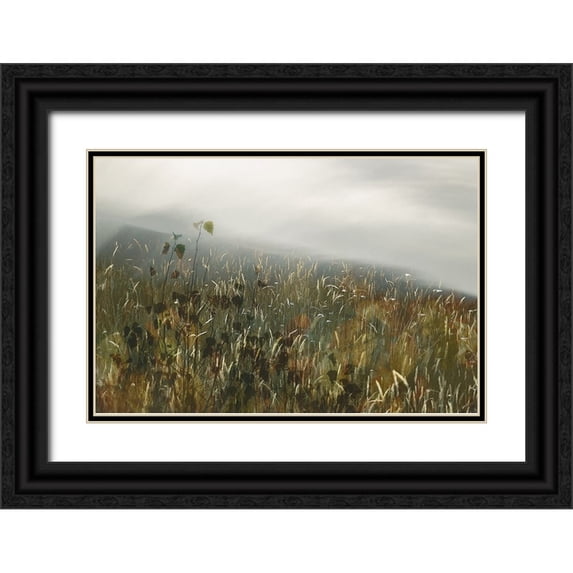Talen, Nel 18x13 Black Ornate Wood Framed with Double Matting Museum Art Print Titled - In the field