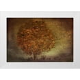 thumbnail image 1 of Talen, Nel 18x13 White Modern Wood Framed Museum Art Print Titled - Autumn Tree, 1 of 4