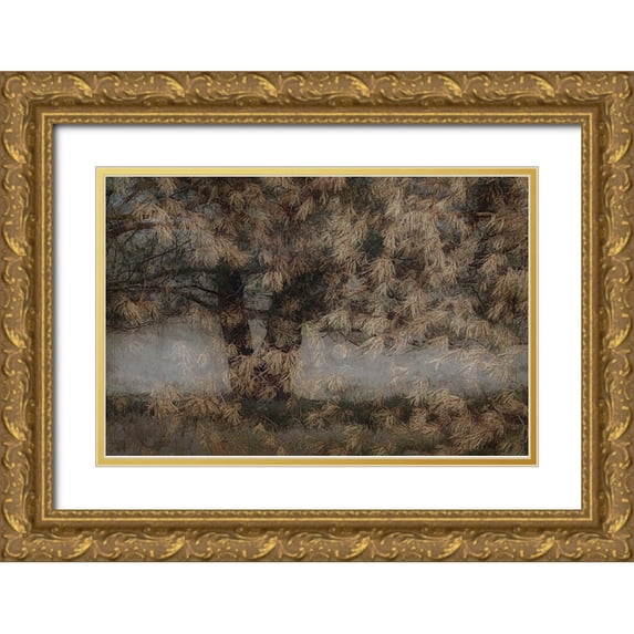 Talen, Nel 24x17 Gold Ornate Wood Framed with Double Matting Museum Art Print Titled - Pine Tree