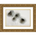 thumbnail image 1 of Talen, Nel 32x23 Gold Ornate Wood Framed with Double Matting Museum Art Print Titled - Clematis, 1 of 4