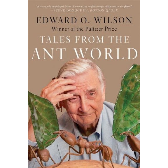 Tales from the Ant World (Paperback)