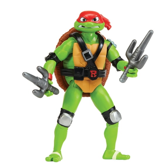 Shell Spin Raph