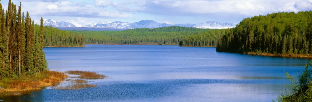 Talkeetna Lake Alaska Canvas Art - Panoramic Images (36 x 12)