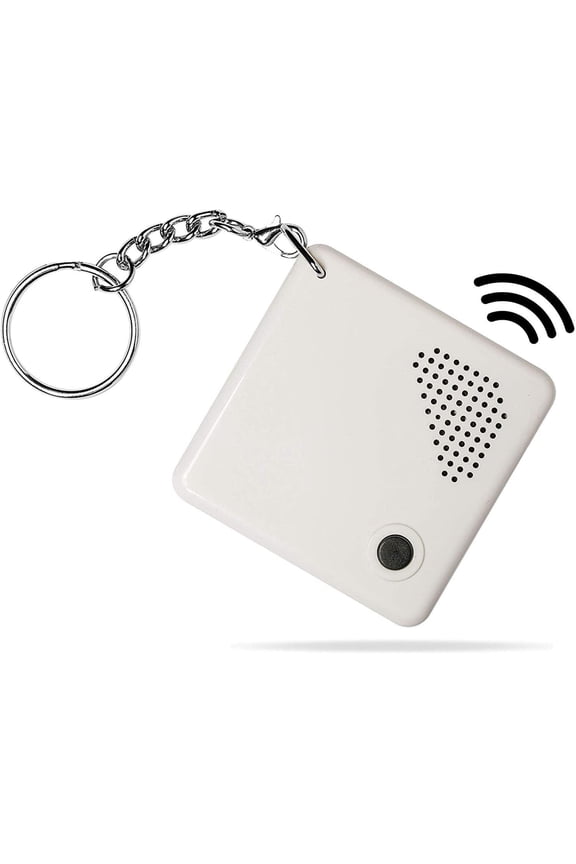 Talking Key Chain Clock- tells time, day and date.