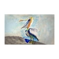 thumbnail image 1 of Talking Pelican Door Mat - 30 x 50 in., 1 of 1