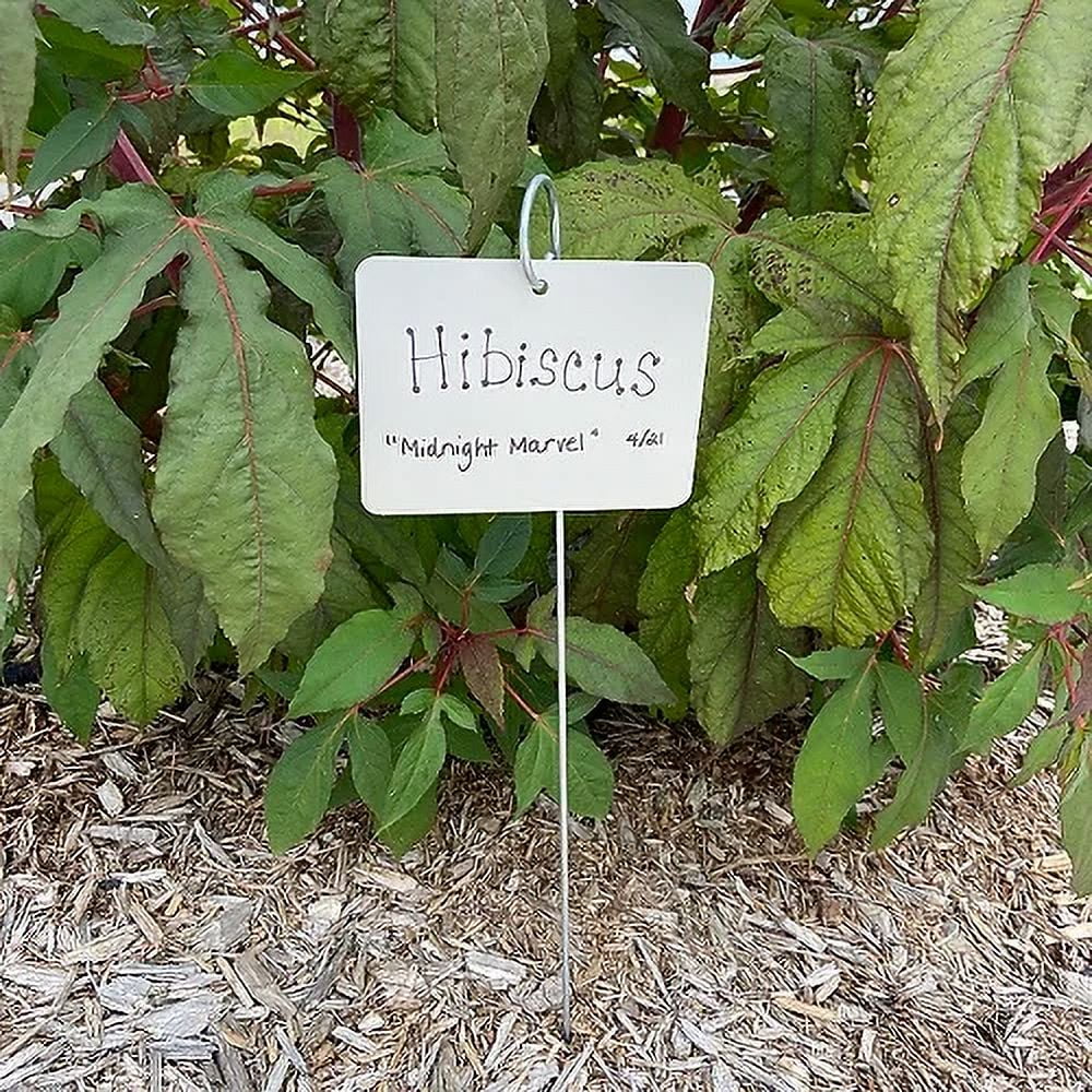 Tall Extra Large Garden Marker Plant Label, Free shipping, Made in USA