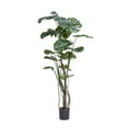 thumbnail image 1 of Tall Faux Monstera plant | 71 inch | Tropical Decor by Vintage Home, 1 of 4