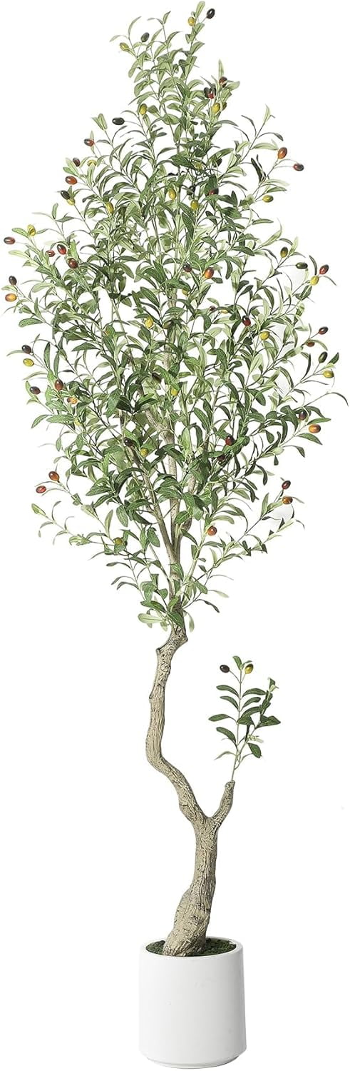 Tall Faux Olive Tree, 6ft (60in) – Artificial Indoor Olive Tree with White Planter and Green Fake Moss (1 Pack)