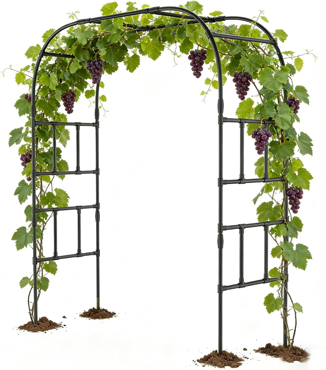 Tall Garden Arch Trellis for Climbing Plants, 83in Tall Metal Plant ...