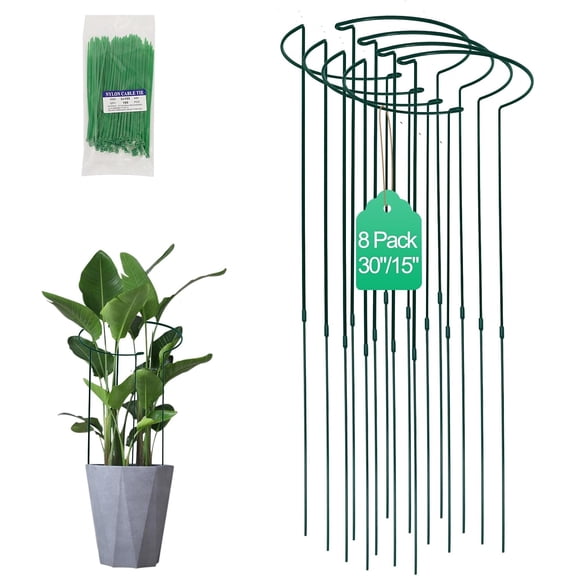 Tall Heavy-Duty 30 Inch Plant Support Stakes 8 Pack Half-Round Garden Stakes for Peonies Hydrangeas and Roses