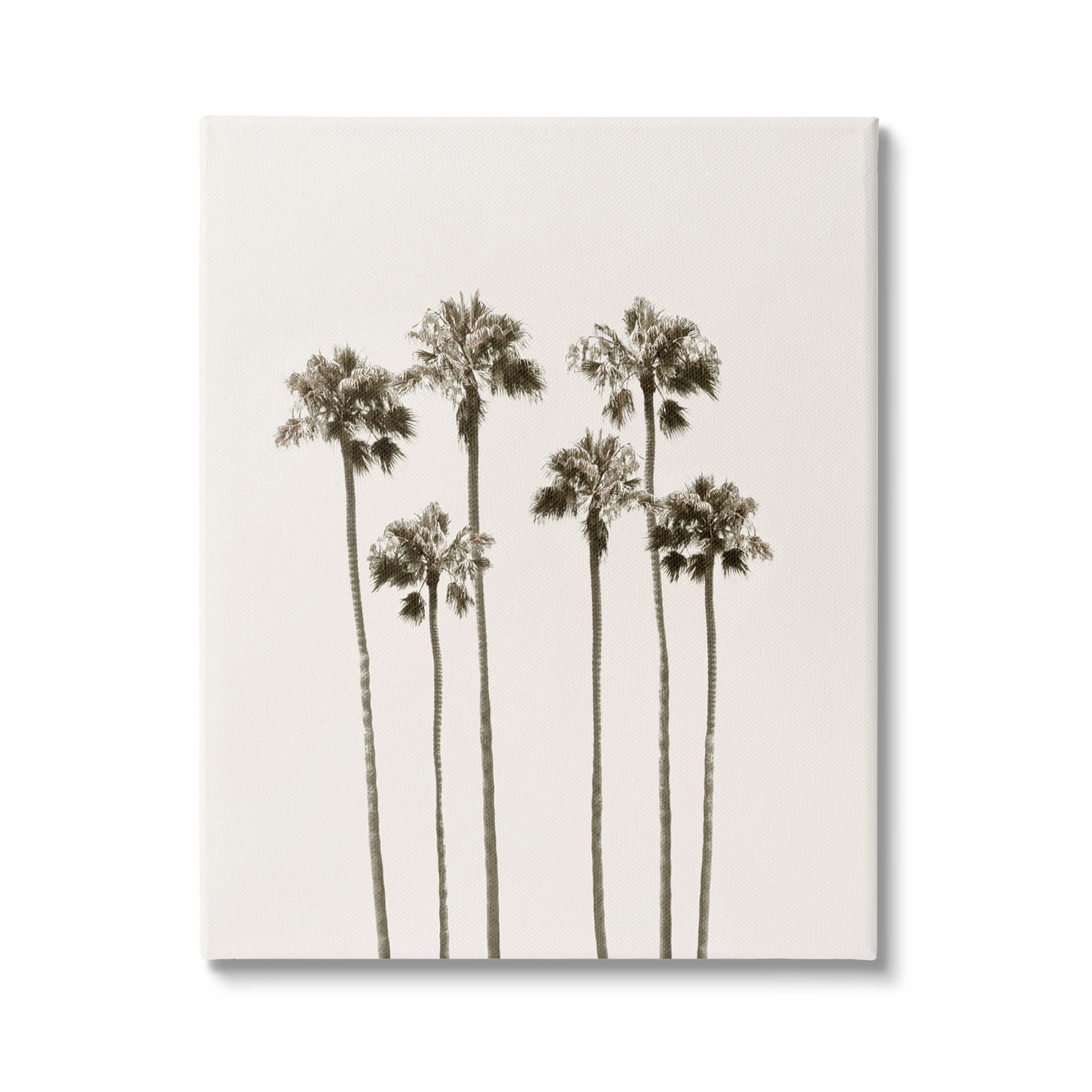 Tall Palm Trees Looming Landscape Graphic Art Gallery Wrapped Canvas Print Wall Art