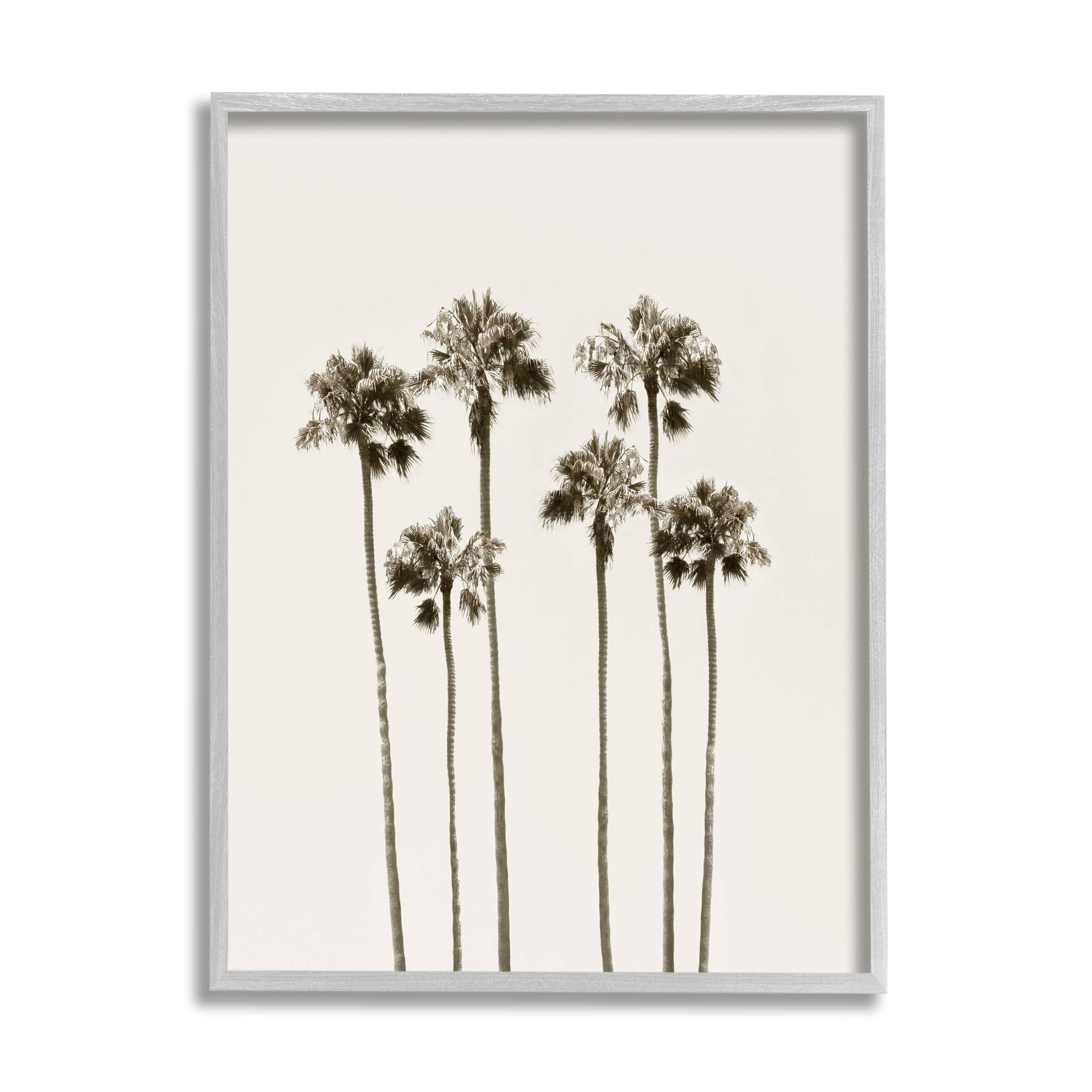 Tall Palm Trees Looming Landscape Graphic Art Gray Framed Art Print Wall Art