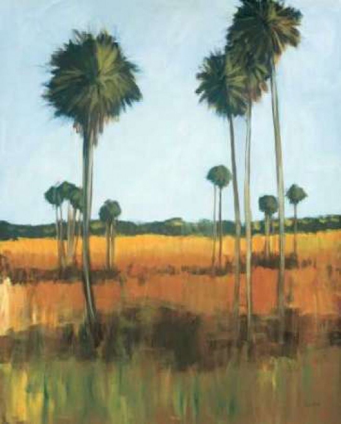 Tall Palms I Canvas Art - Mark Pulliam (20 x 24)
