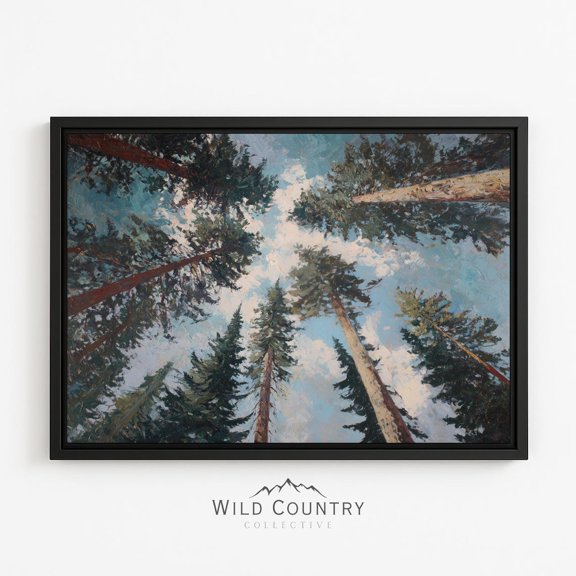 Tall Pine Forest Canopy Upward Tree View Landscape Mountain Nature Poster