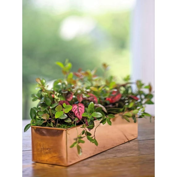 Tall Rectangular Copper Plant Tray 18in x 5in x 4in