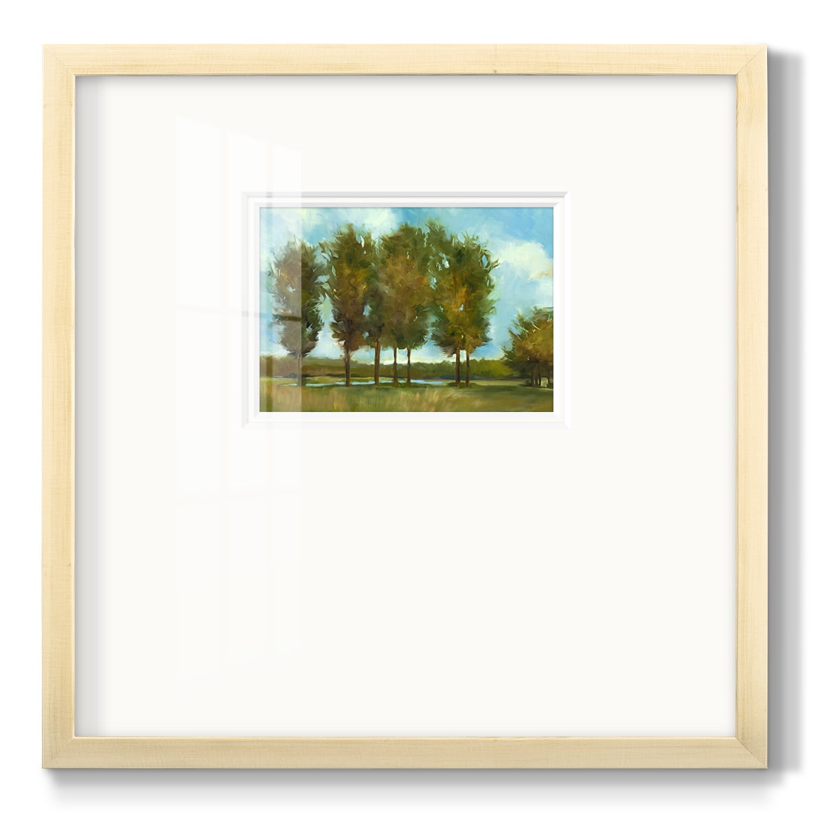 Tall Trees Premium Framed Print
