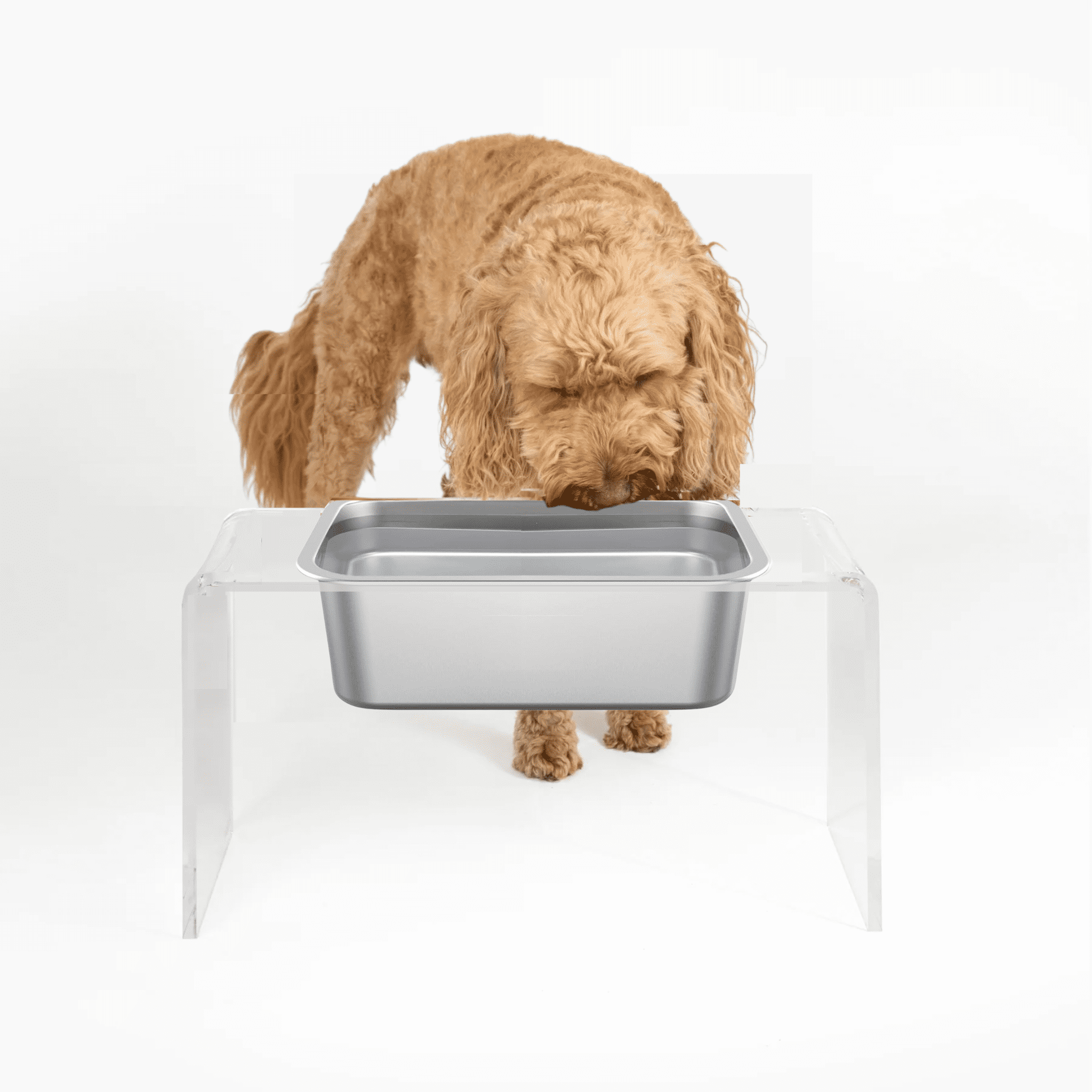 Large Clear Acrylic Elevated Trough Dog Bowl Feeder