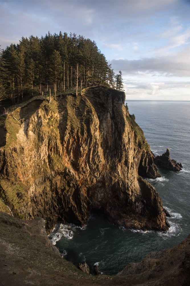 Tall cliffs are found at Oswald West State Park Manzanita Oregon United States of America Canvas Art - Robert L Potts Design Pics (12 x 19)