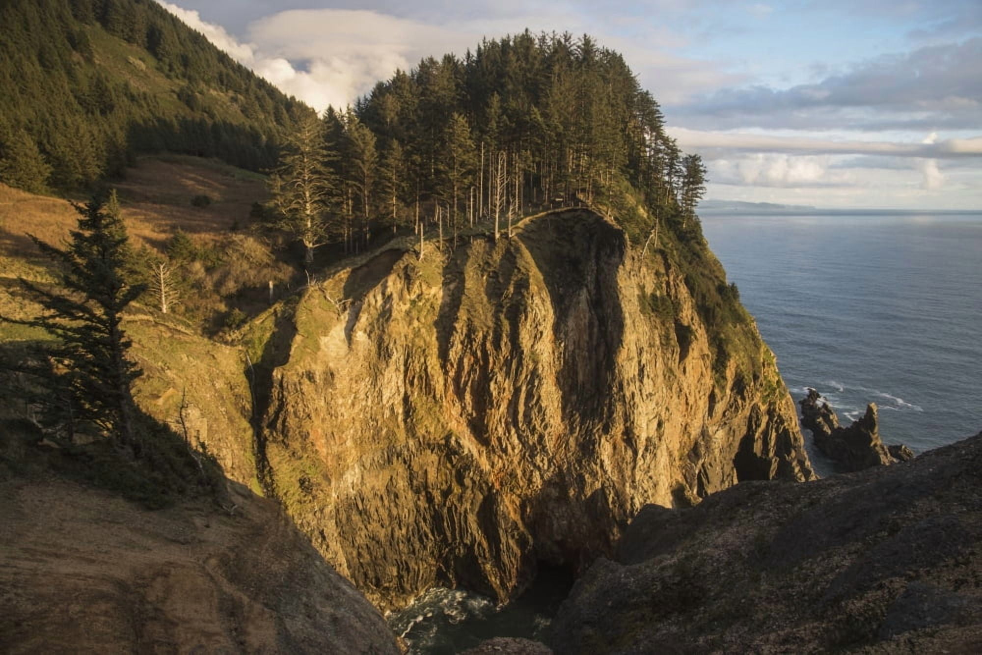 Tall cliffs are found at Oswald West State Park Manzanita Oregon United States of America Canvas Art - Robert L Potts Design Pics (18 x 12)