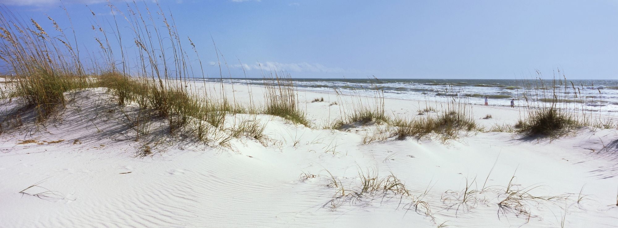Tall grass on the beach Perdido Key Area Gulf Islands National Seashore Pensacola Florida USA Canvas Art - Panoramic Images (27 x 9)