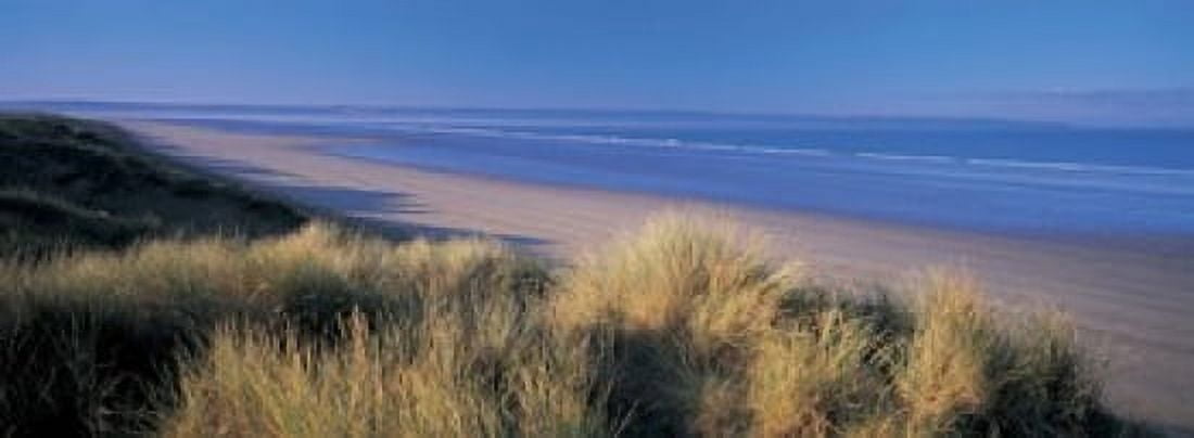 Tall grass on the coastline Saunton North Devon England Canvas Art - Panoramic Images (18 x 7)