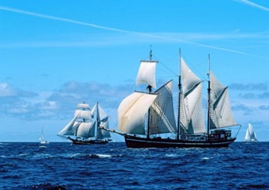 Tall ship regatta in the Baie De Douarnenez Finistere Brittany France Canvas Art - Panoramic Images (36 x 26)