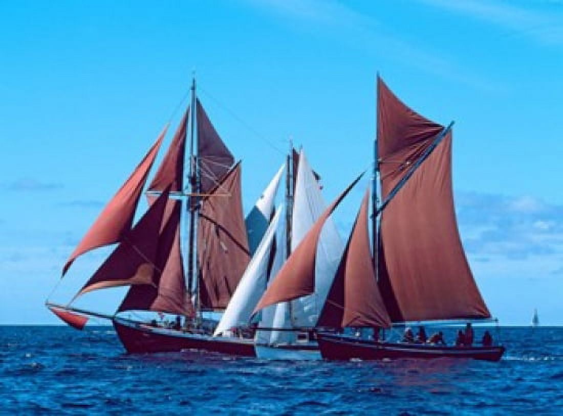 Tall ship regatta in the Baie De Douarnenez Finistere Brittany France Canvas Art - Panoramic Images (36 x 27)