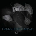 thumbnail image 1 of Tallon / Canvas / Sharrock - Sift - Music & Performance - CD, 1 of 2