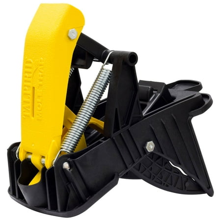 Talpirid Mole Trap
