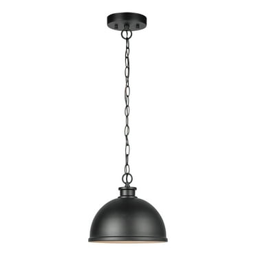 Talullah 1-Light Matte Black Outdoor Pendant
