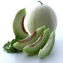 Tam Dew Melon Seeds - 1 g ~35 Seeds - Heirloom, Open Pollinated, Non-GMO, Farm & Vegetable / Fruit Gardening Seeds