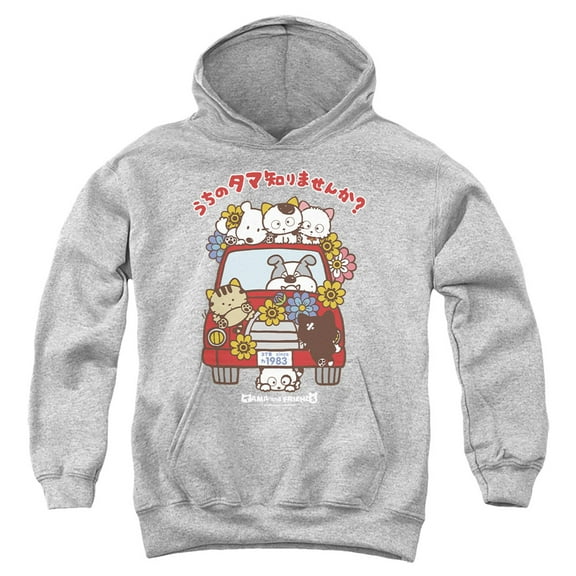 Tama and Friends Cats Flower Car Youth Kids Boy/Girls Pull-Over Hoodie, Athletic Heather, Medium