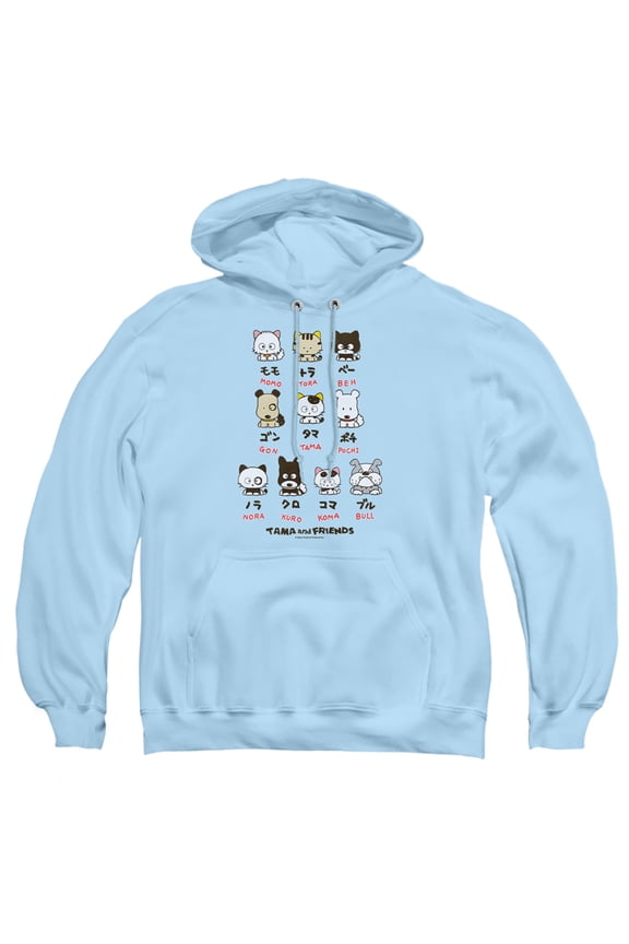 Group Names Adult Pull-Over Hoodie, Light Blue, Medium