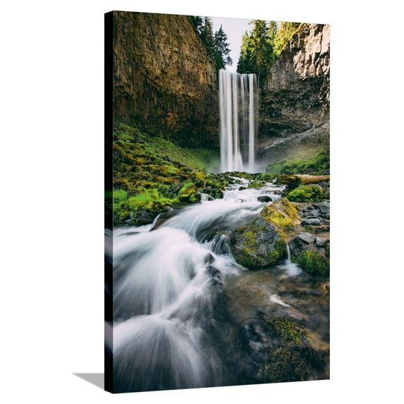 Art.com Tamanawas Falls, Mount Hood Wilderness, Oregon Stretched Canvas Print Wall Art by Vincent James, 24" x 36"