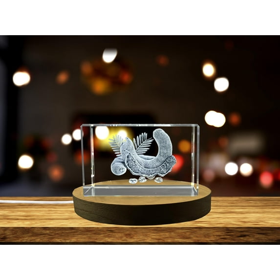 Tamarind 3D Engraved Crystal Decor Gift