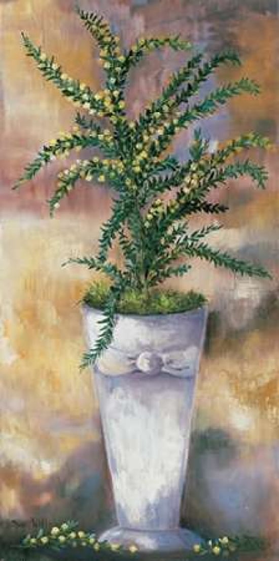 Tamed broom Canvas Art - Rian Withaar (10 x 20)