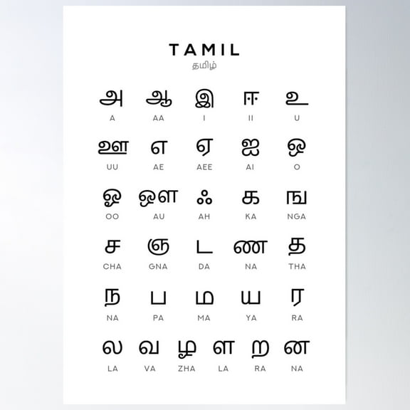 Tamil Alphabet Language Learning Chart, White Poster Wall Art, Modern Wall Decor For Living Room Bedroom, 24x36 UNFRAMED