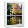 thumbnail image 1 of Tammy Putman 11x14 White Modern Wood Framed Wall Art Titled - Fall Colors, 1 of 5