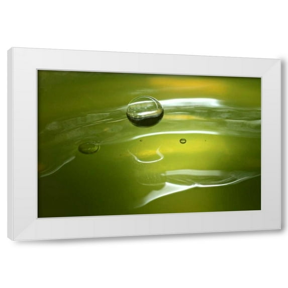 Tammy Putman 18x13 White Modern Wood Framed Wall Art Titled - Lemon Lime Drop II