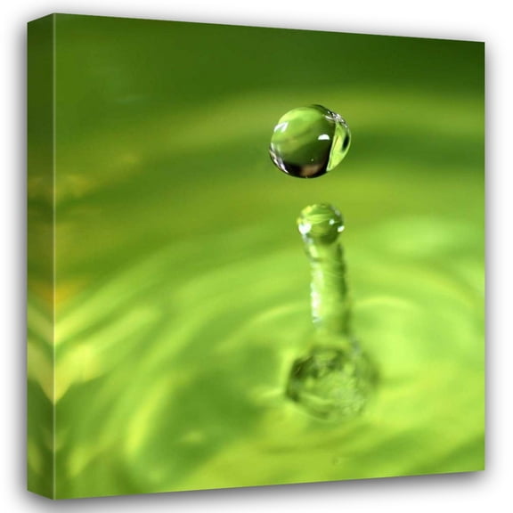 Tammy Putman 28x31 Gallery Wrapped Canvas Wall Art Titled - Lemon Lime Drop III