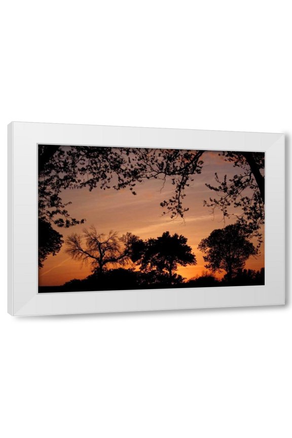 Tammy Putman 32x23 White Modern Wood Framed Wall Art Titled - Unity Sunset