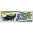 thumbnail image 1 of Tampa Bay Rays 10" x 28" Traditions Wood Sign, 1 of 1